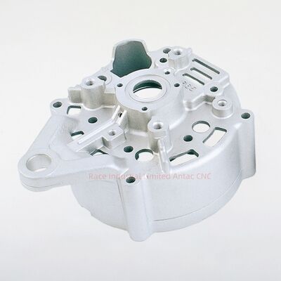 ISO TS16949 2009 zertifizierte Aluminium-Druckgussteile, Formen mit mehreren Hohlräumen, kundenspezifische Oberflächenbeschaffenheit